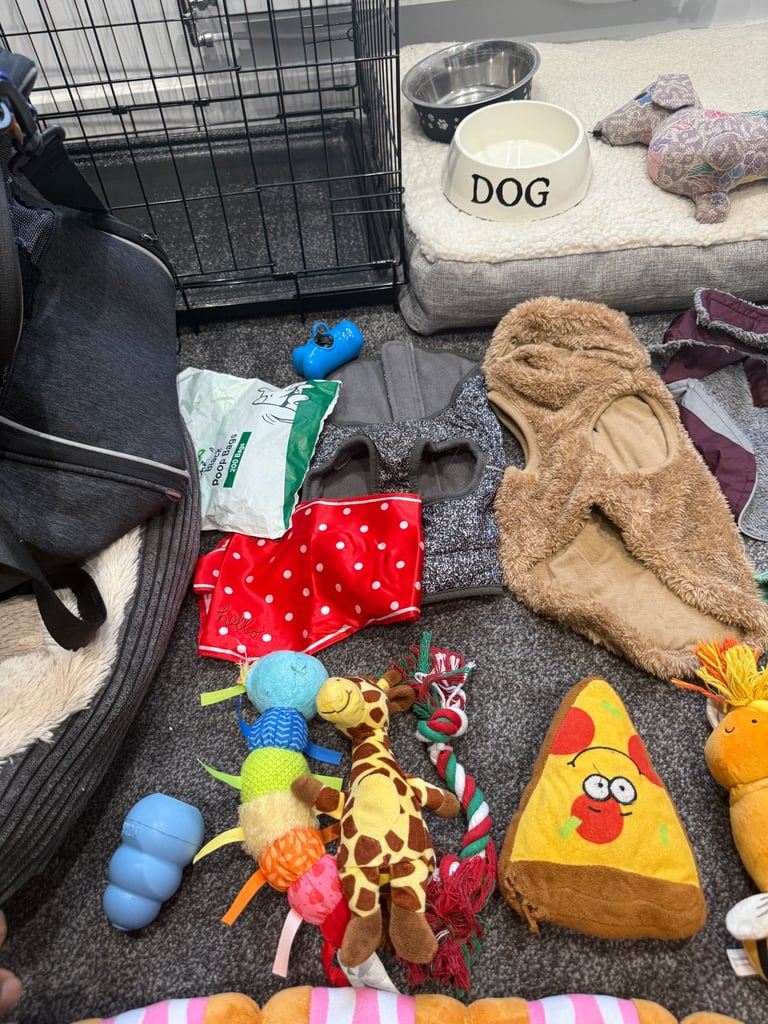 Small dog Accessories bundle
