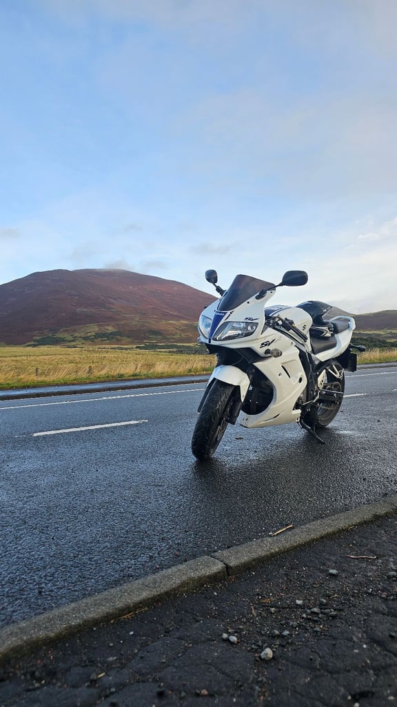 image for Suzuki, SV, 2011, 645 (cc)