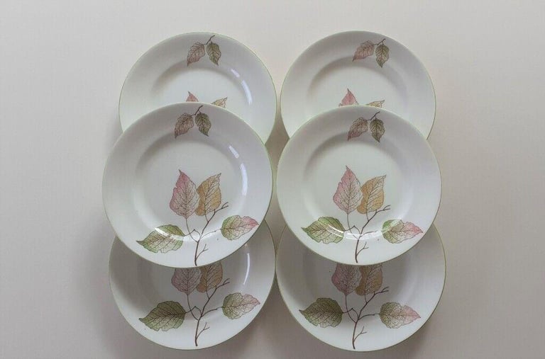 Royal Standard Fine Bone China Tea Set. Unusual pattern.