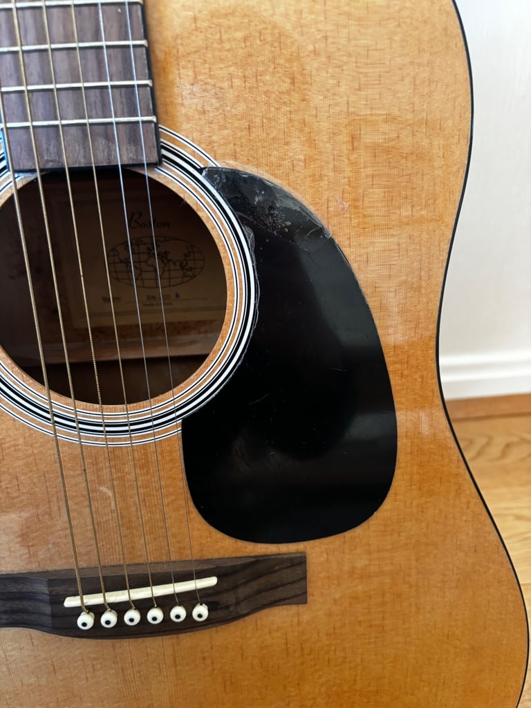 Acoustic Steel string guitar 