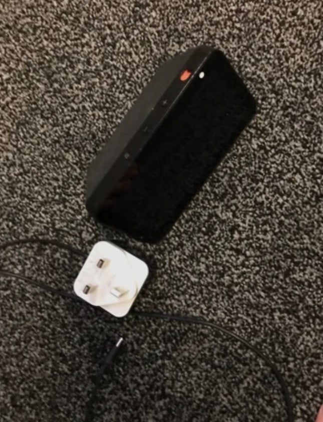 Alexa 2022 edition works perfectly 