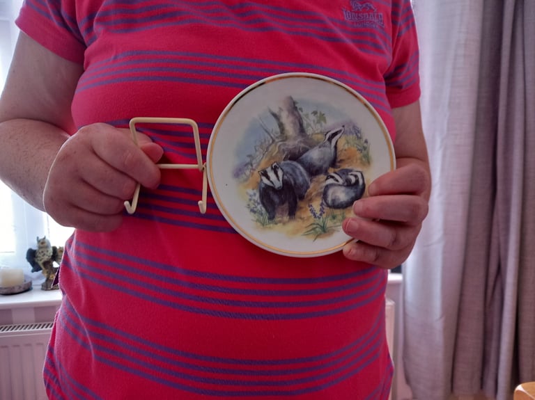 image for Collectors Badger family show plate and stand 
