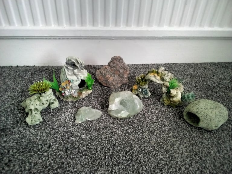60L glass fish tank, with accessories. 