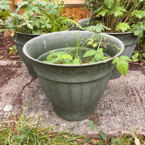 3 green plastic garden flower plant pot containers #1 | in Chinnor,  Oxfordshire | Gumtree