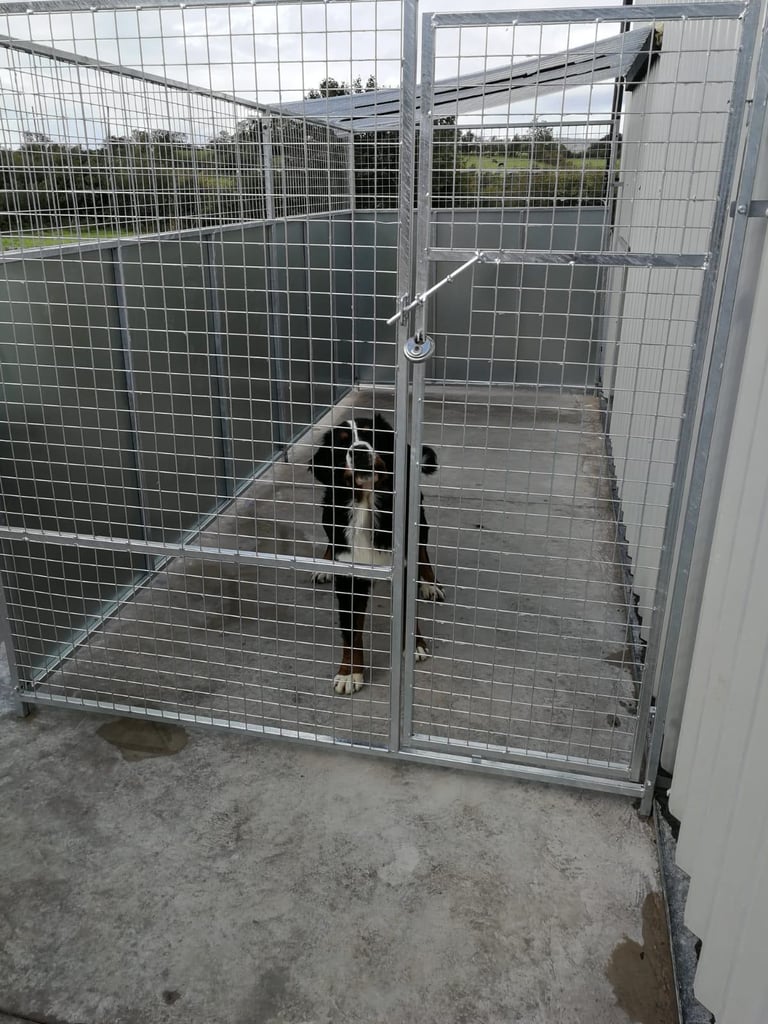 New galvanised dog cages pens enclosures  and kennels
