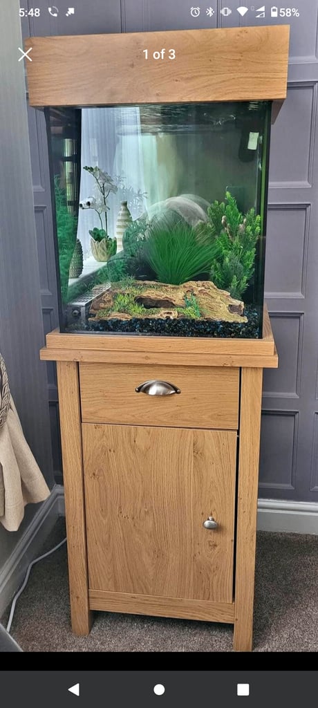 Full Tropical Setup Aquarium - Fish Tank (85 Litre)