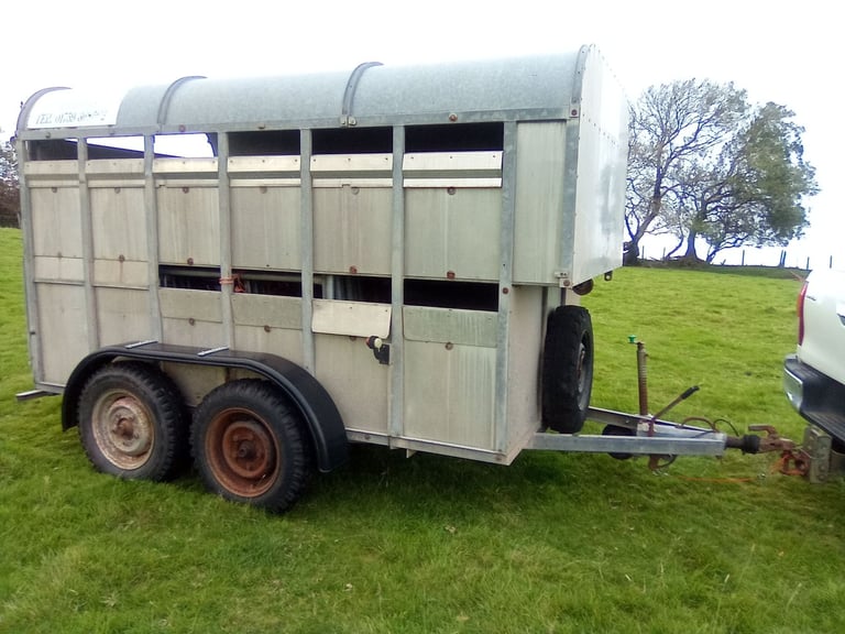 Sheep 🐑 Trailer twin Deck 