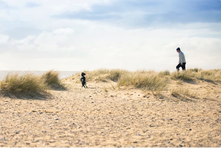 CARAVAN FOR HIRE HAVEN CAISTER ON SEA GREAT YARMOUTH NORFOLK 