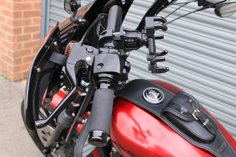 Harley-Davidson XL883N SPORTSTER IRON 2013