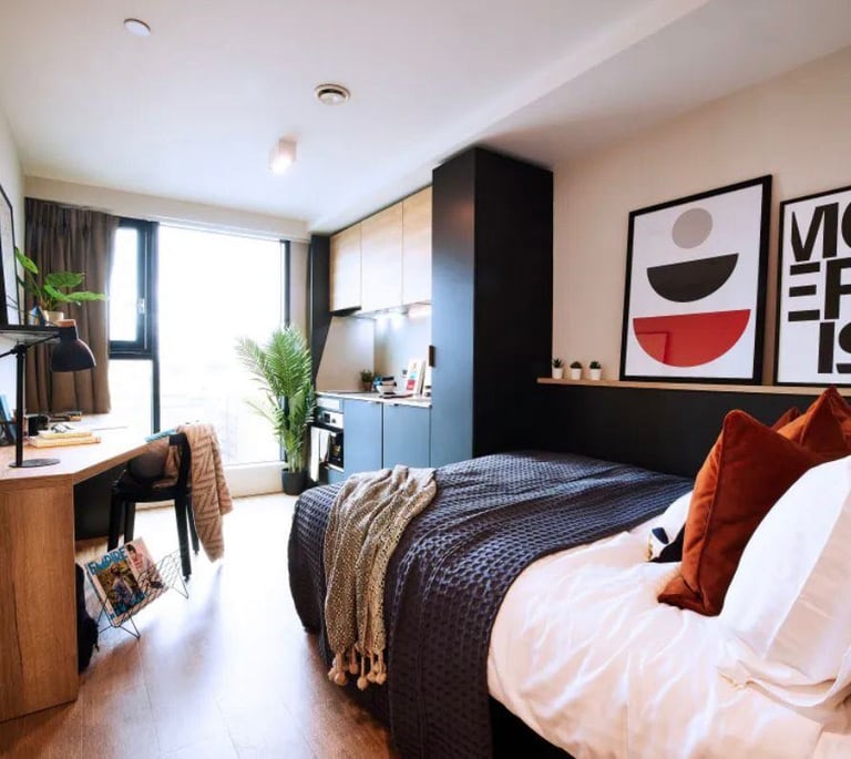 Luxury (student) studio flat