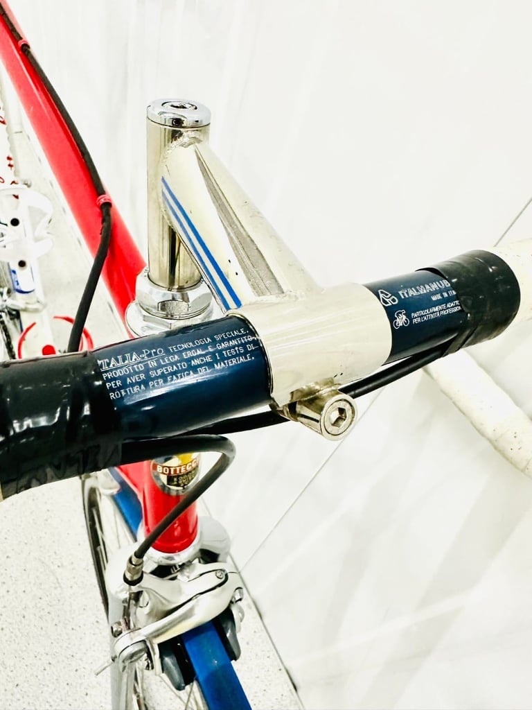 A7  BOTTECHIA Size/L Super LW Road Bike  12 Speed 700c Wheels