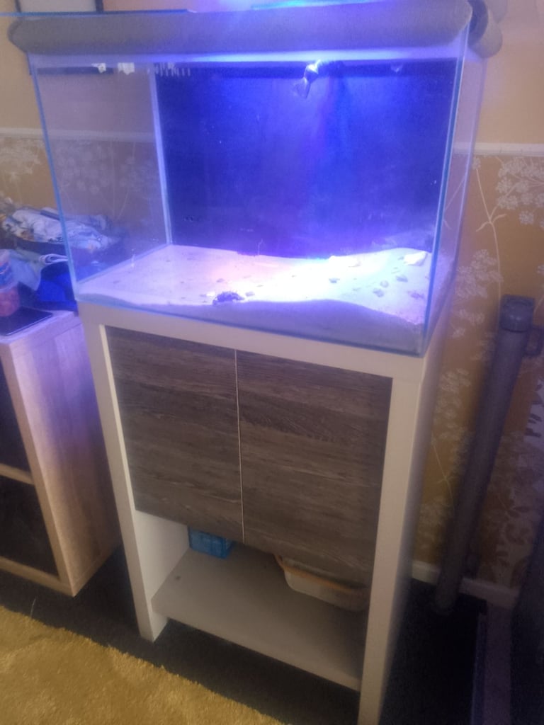 2 foot fish tank,with led lighting