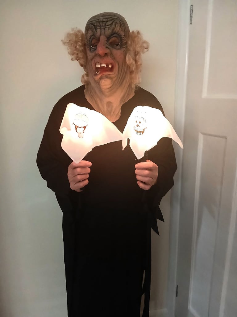 Halloween fancy dress masks