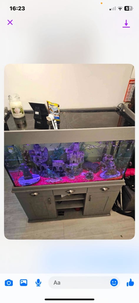 image for Fish tank 