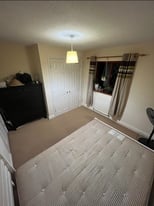 Double Room to let