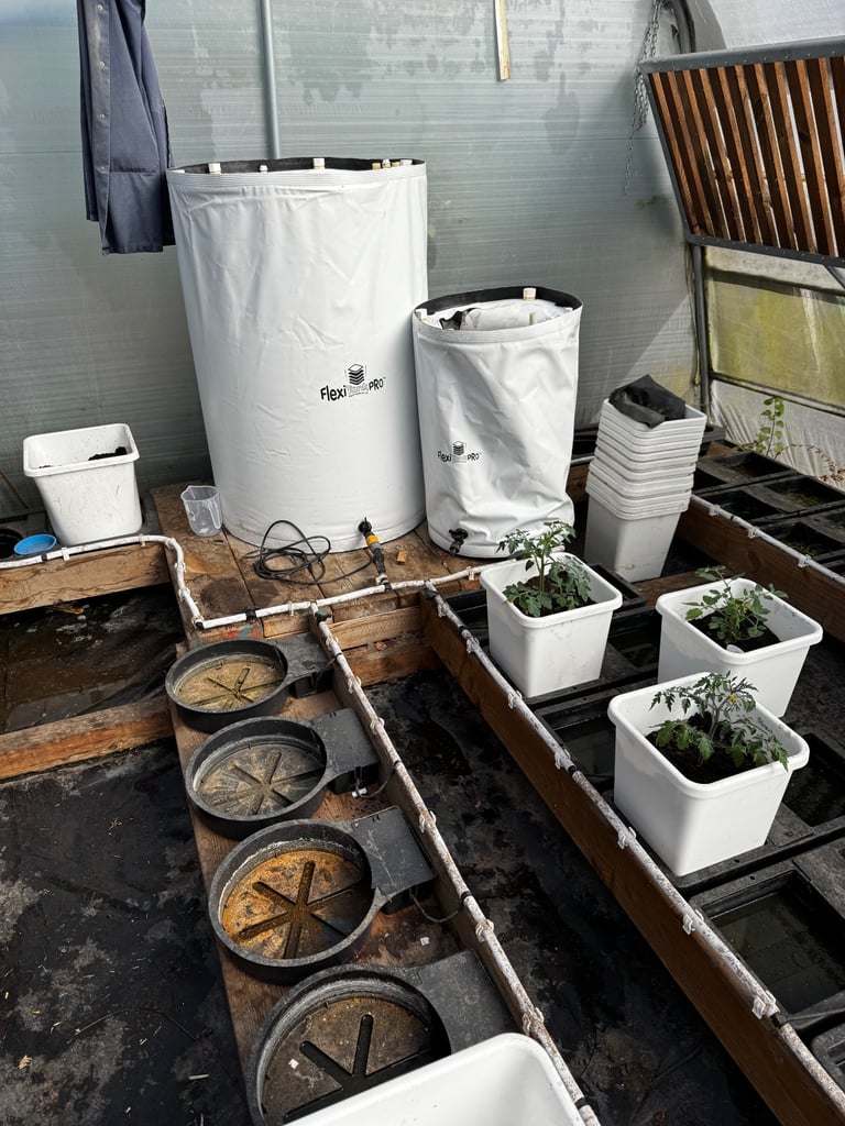 Haygrove polytunnel