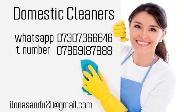 Domestic Cleaners!!! Short Notice!! All London!!