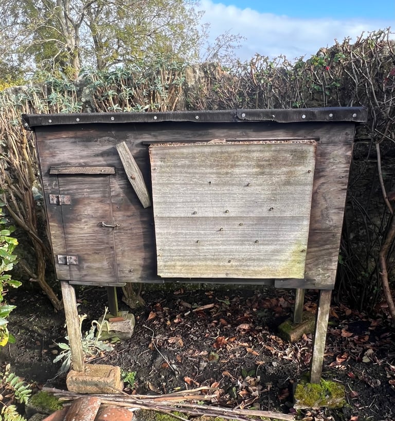 FREE rabbit hutch and 10+ bags of shavings 