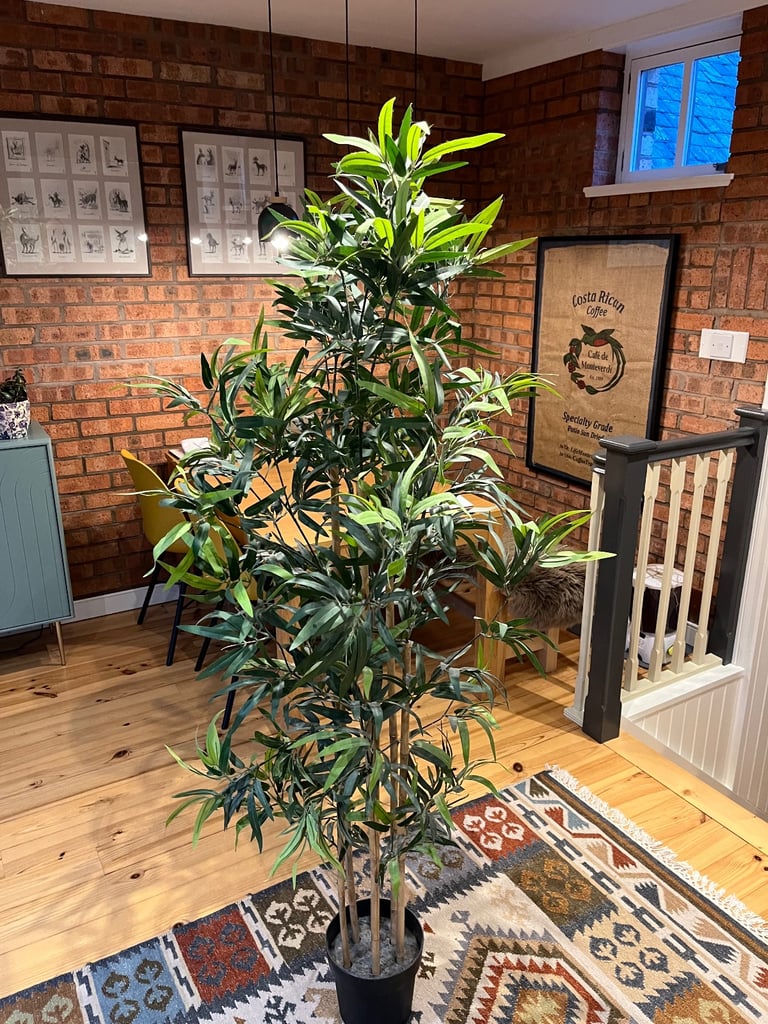 image for Free fake ikea palm tree - used from smoke free home