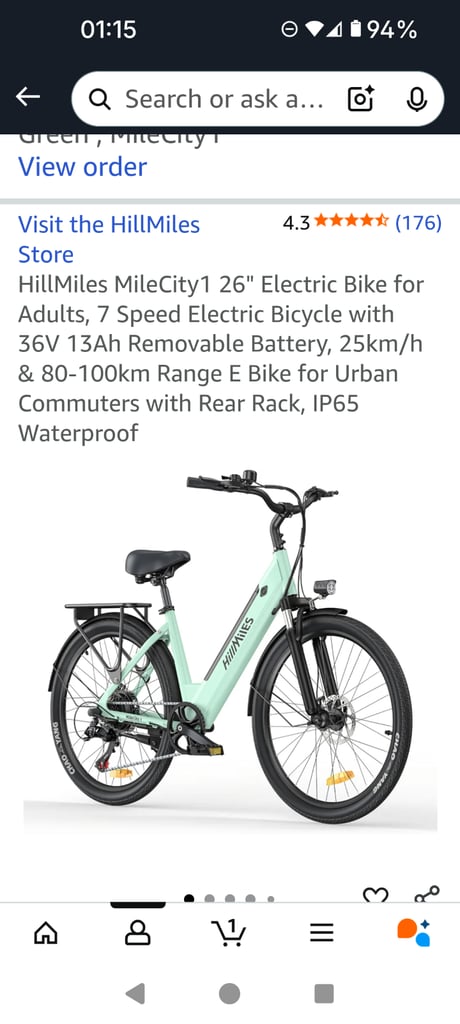 Electric bike 