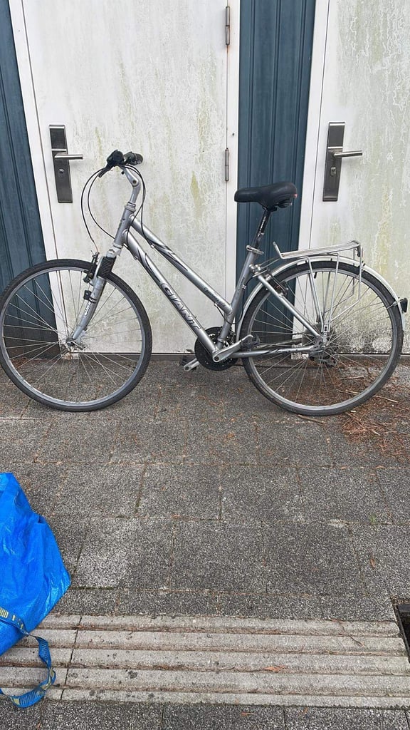 Women's giant bike 