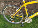 Adult front suspension Mountain bike 