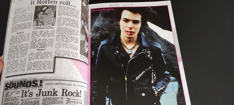 Punk Rock A Visual Biography by Andy Francis Paperback 2023
