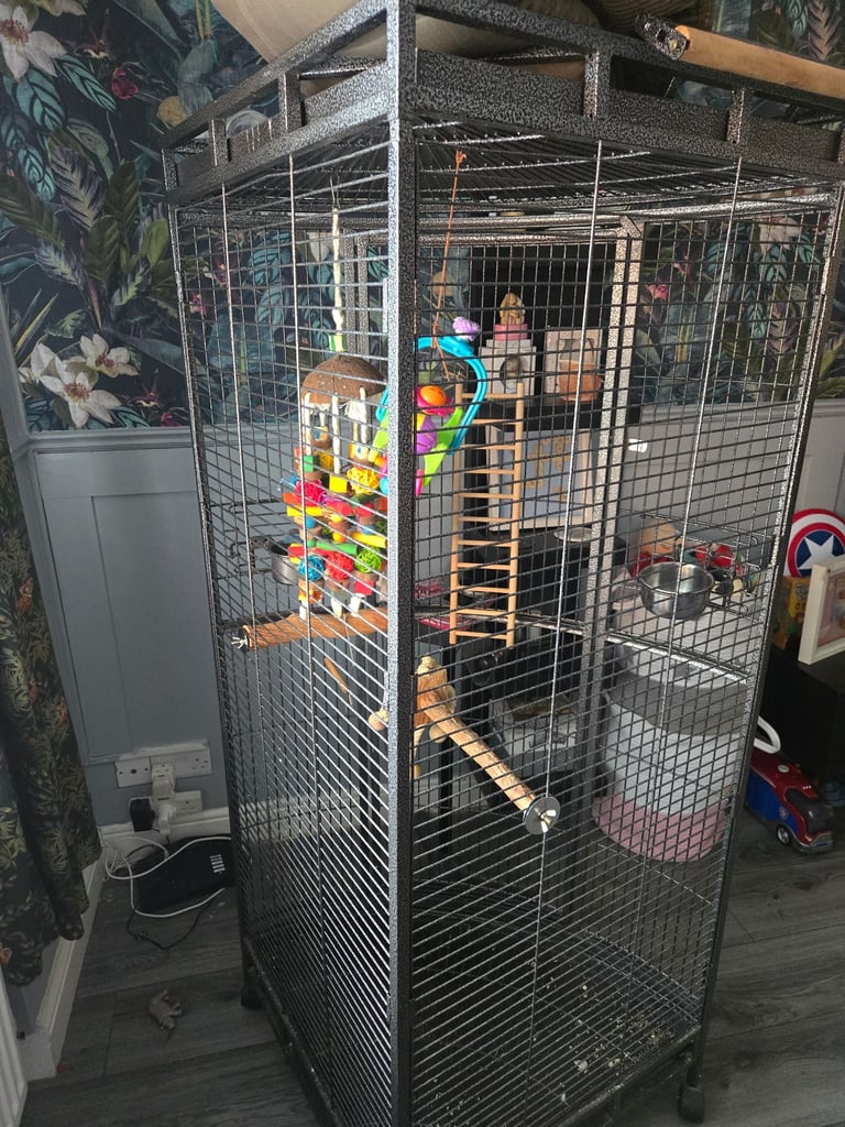 Large corner bird/parrot cage