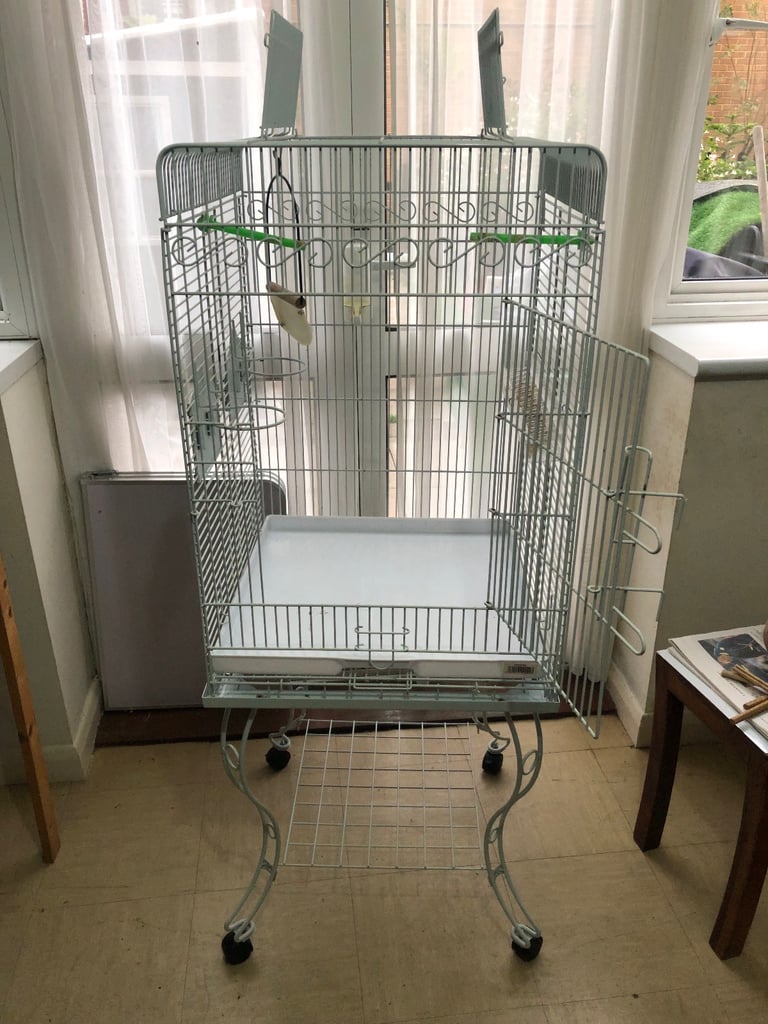 Bird cage 