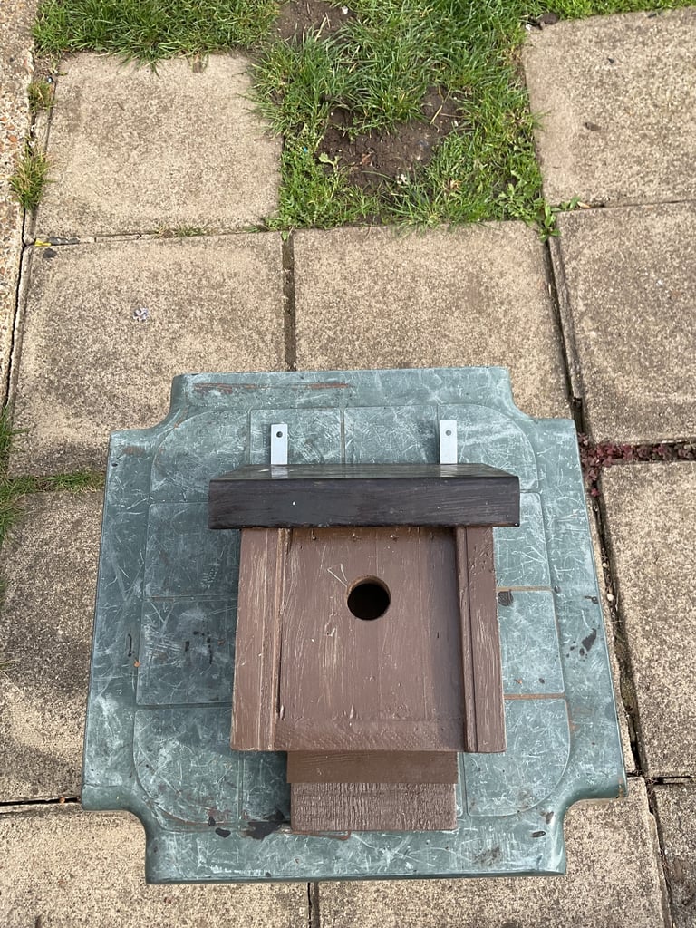 Outside Bird Box