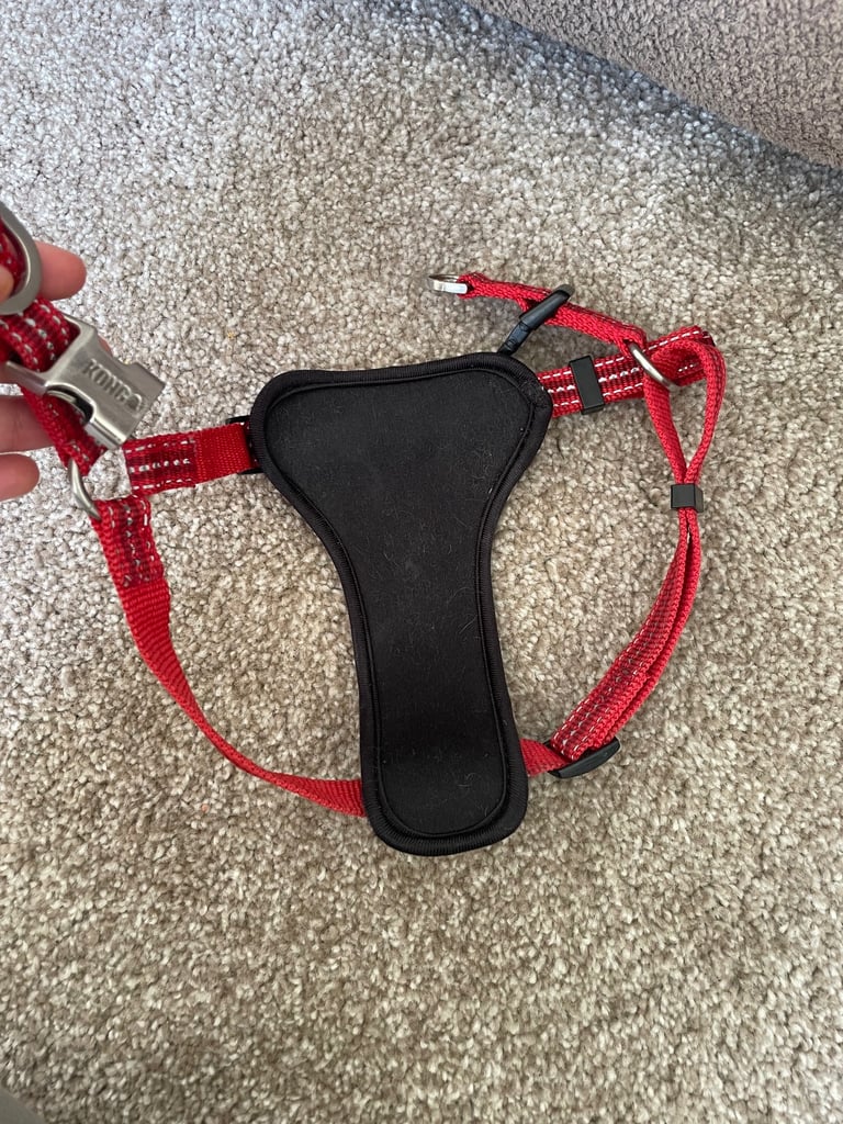 Kong dog harness