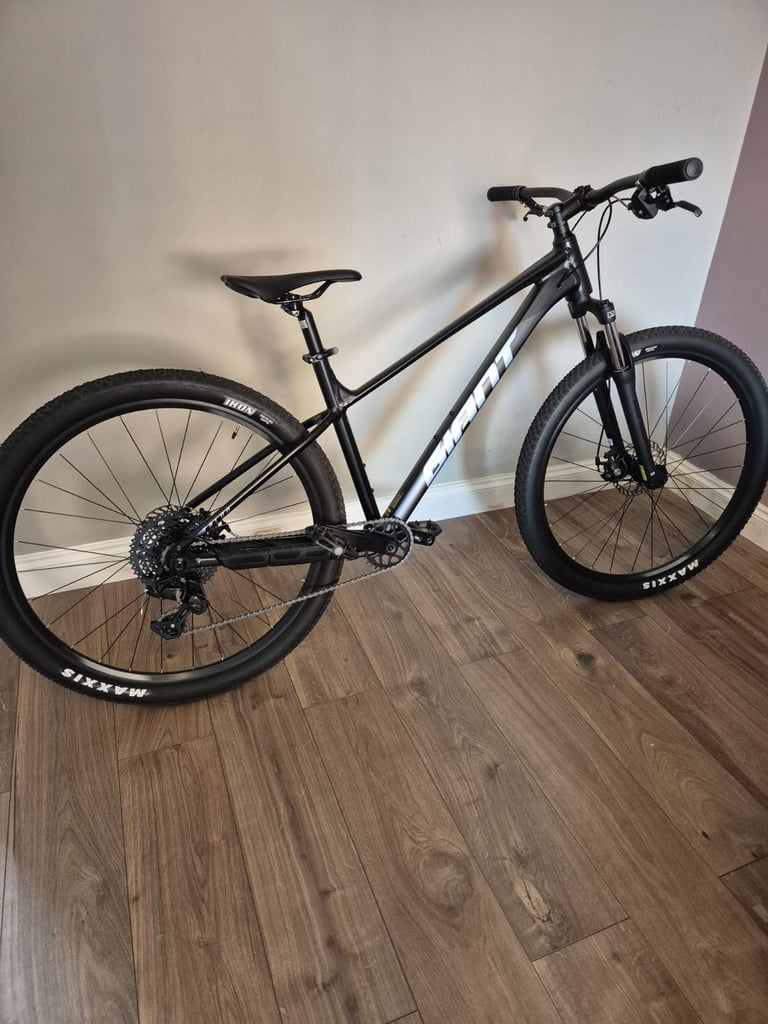 image for Giant talon 4 2025