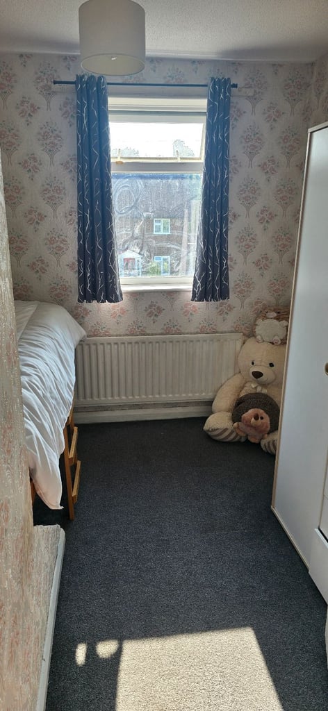 Single room for rent