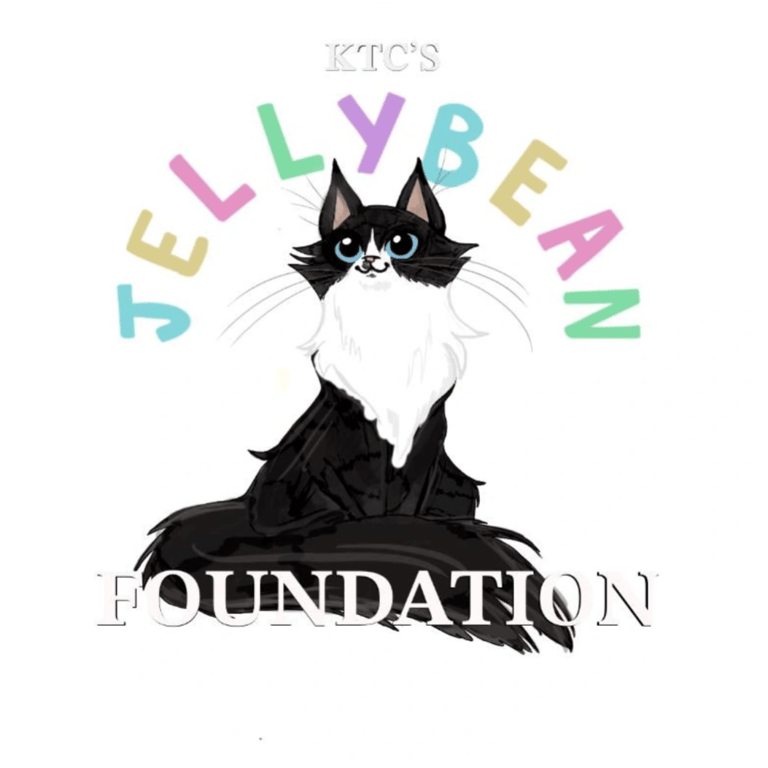 Jellybean foundation