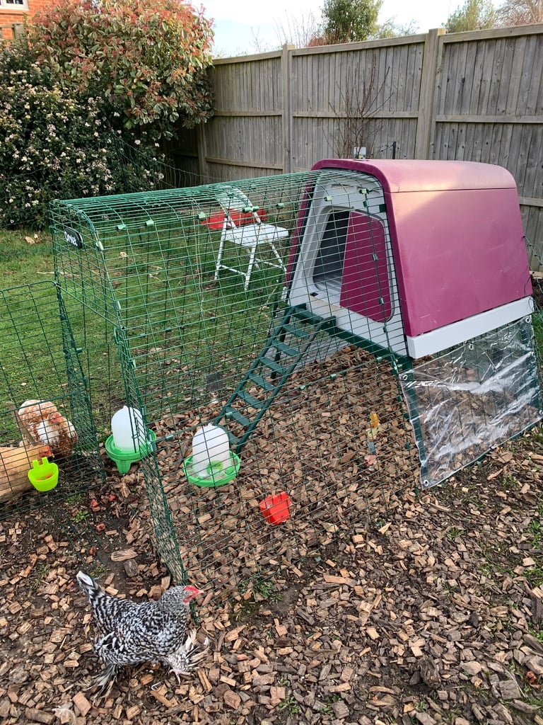 Omlet Eglu Go Up Coup & 2m Run & Rain Covers