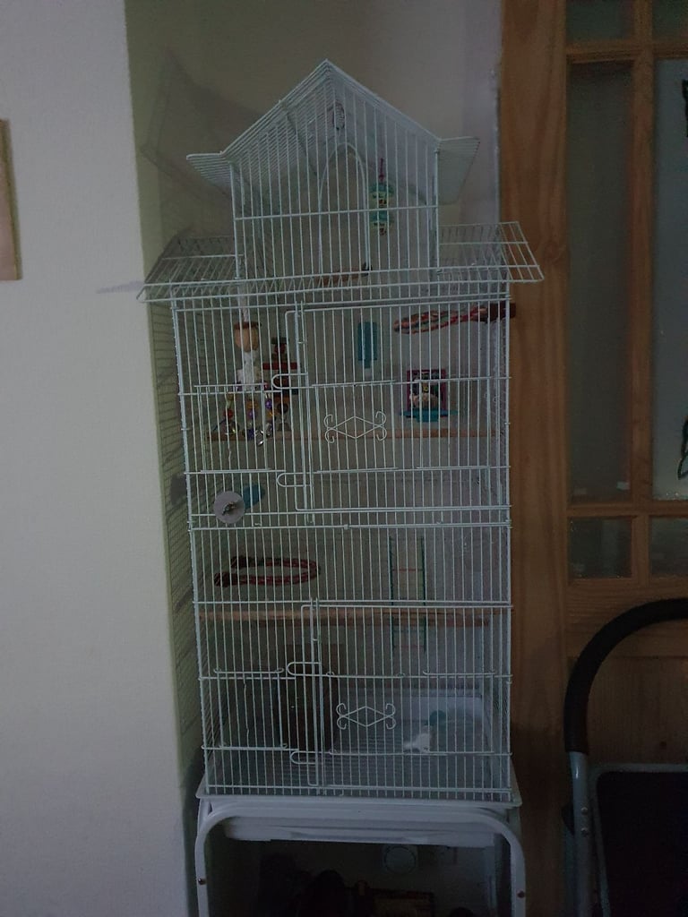 Bird Cage large