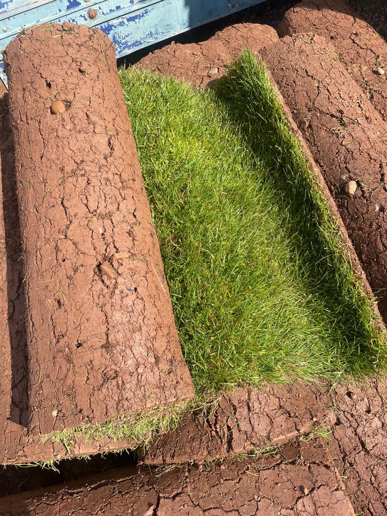 image for fresh cut turf 
