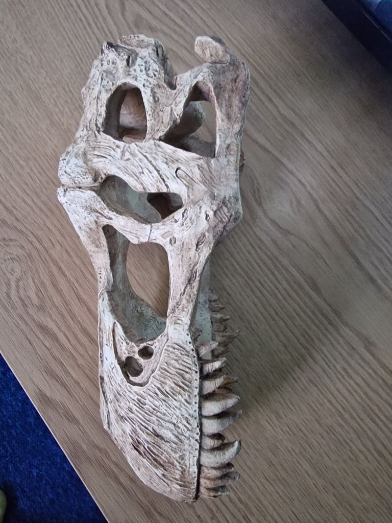Medium Dinosaur Skull Hide – Ideal for Gecko, Corn Snake or Juvenile Bearded Dragon