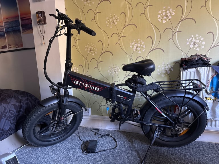 Fat tyres electric bike 