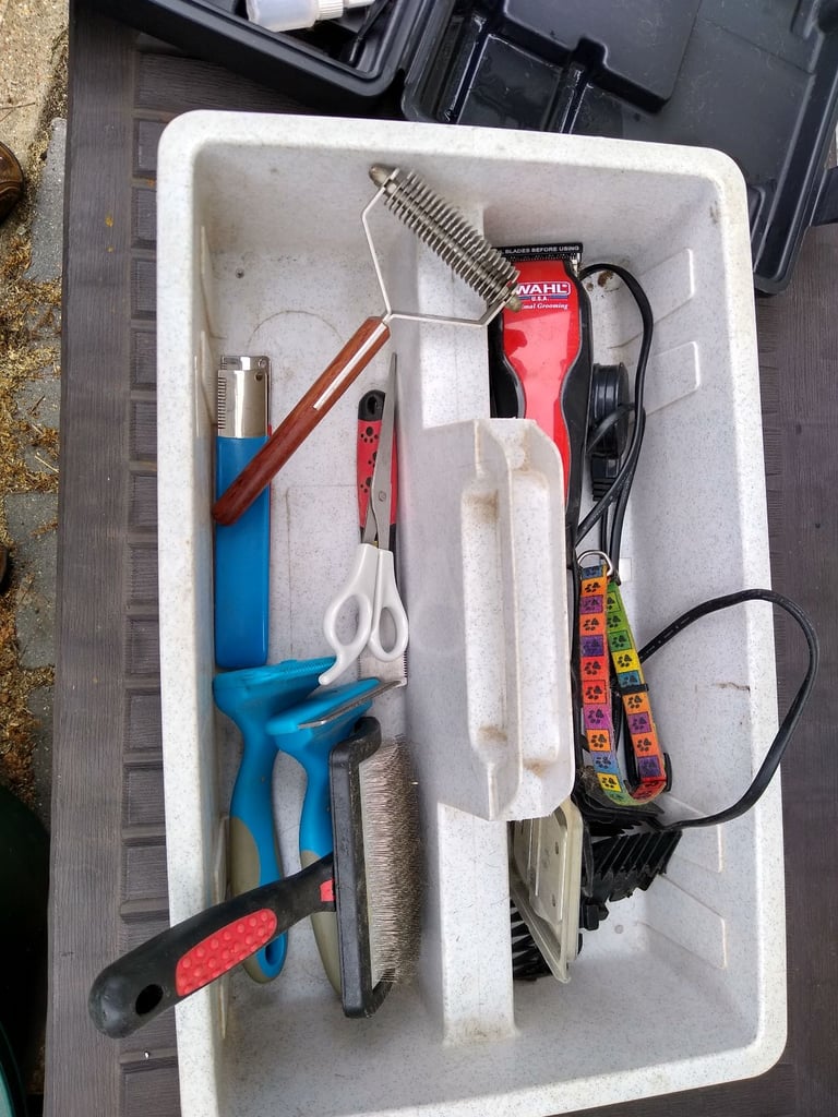 Dog grooming clippers 