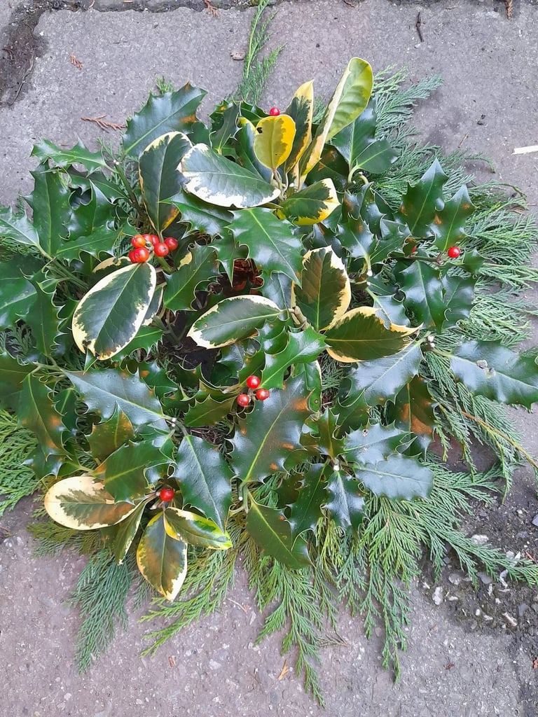 image for Holly wreath for sale only £7
