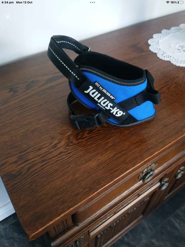 Dog harness fit Coker poo size dog