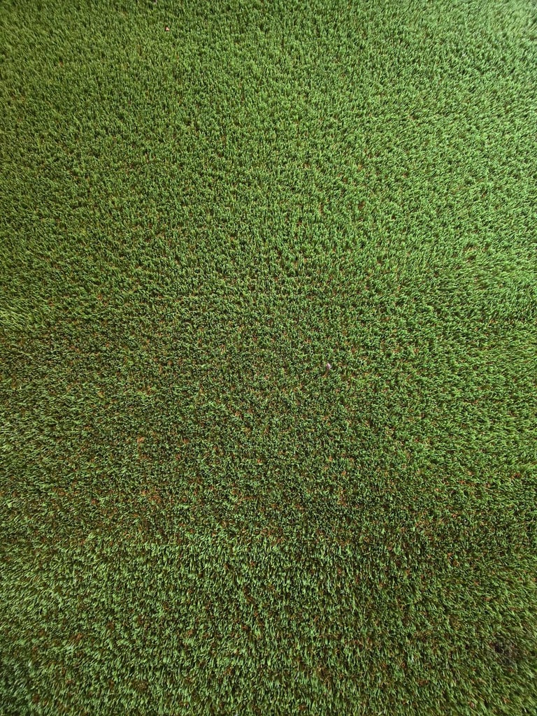 Artificial Grass 6 x 3 Foot