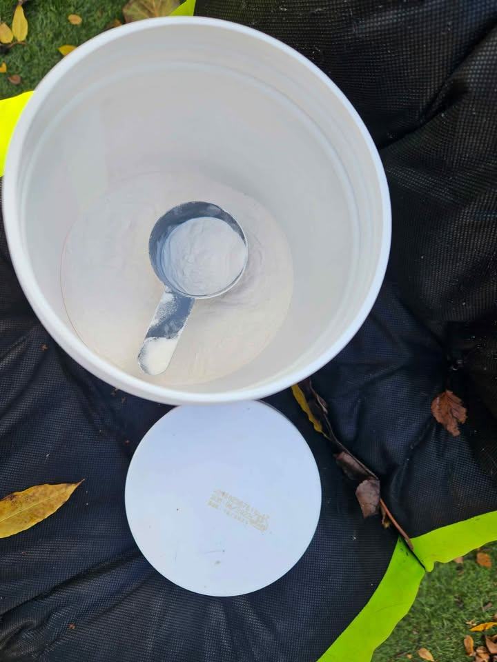 Free clear whey isolate Myprotein, past bb date