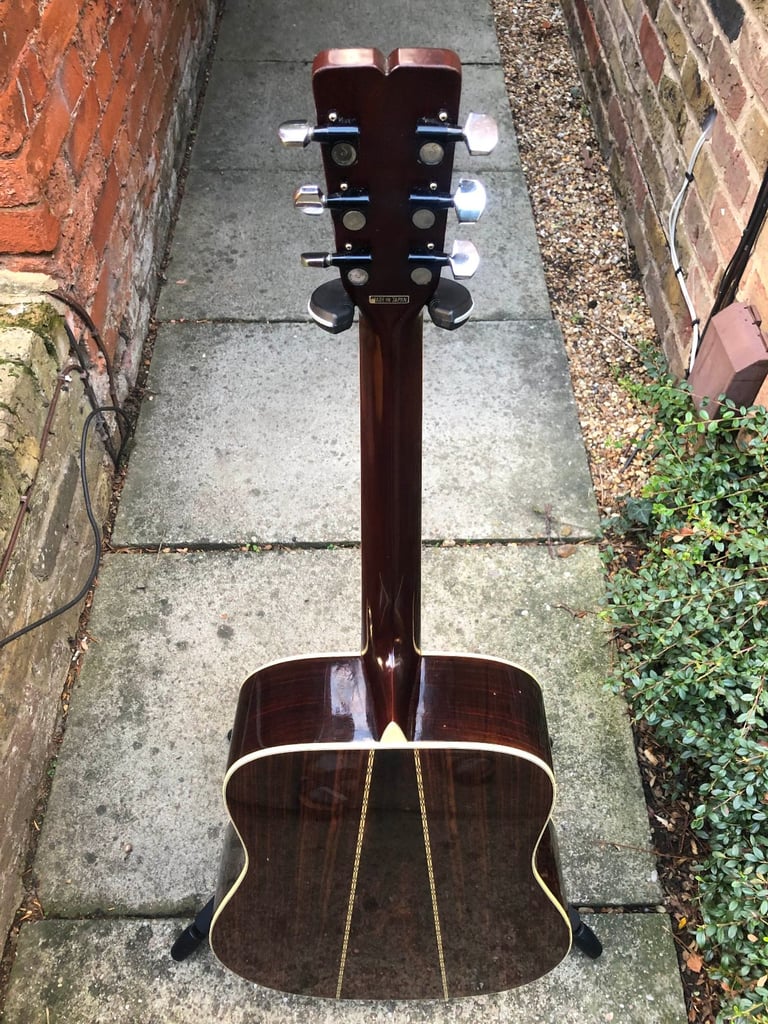 Fender F-85 vintage acoustic guitar (made in Japan, 70s)