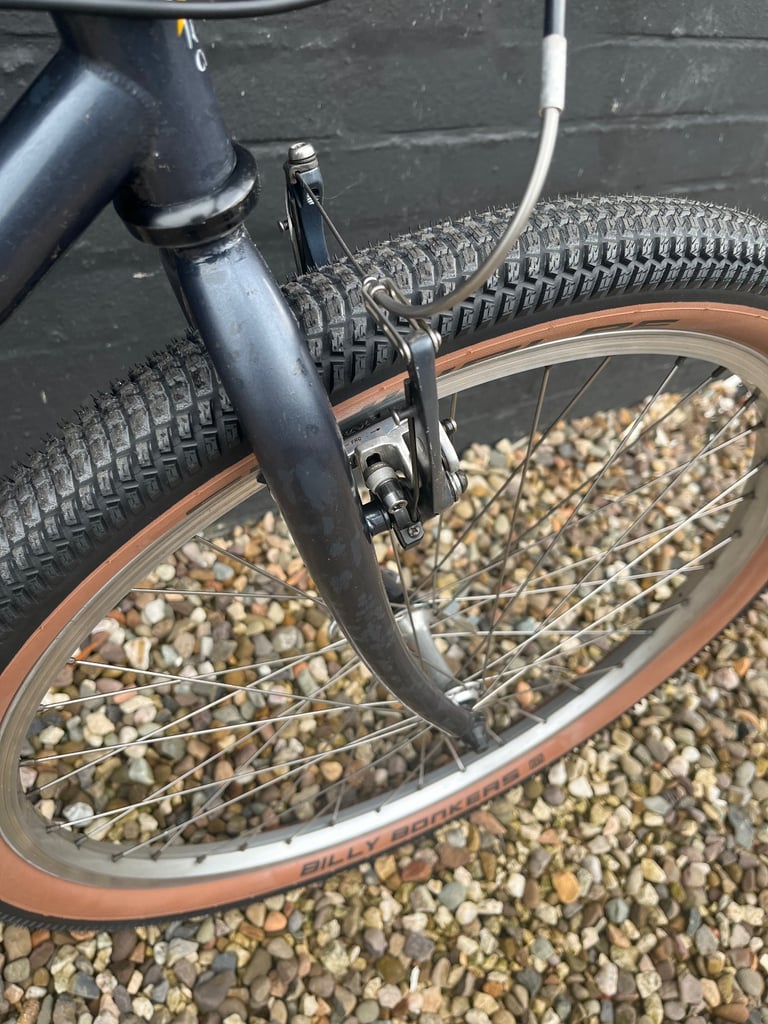 Fully Serviced Retro USA MTB North Star La Luna Restomod