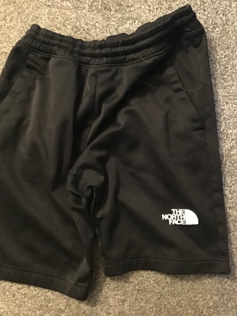 North face shorts 