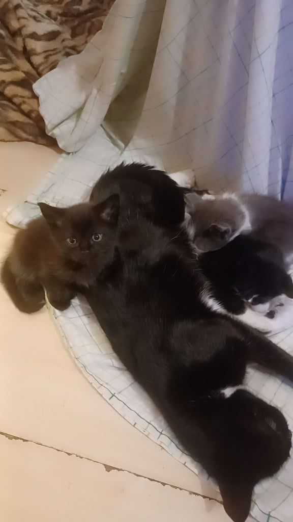 New home needed