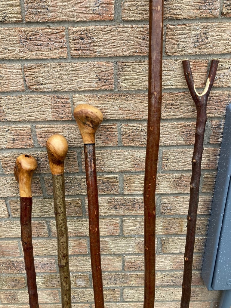 Hiking sticks 
