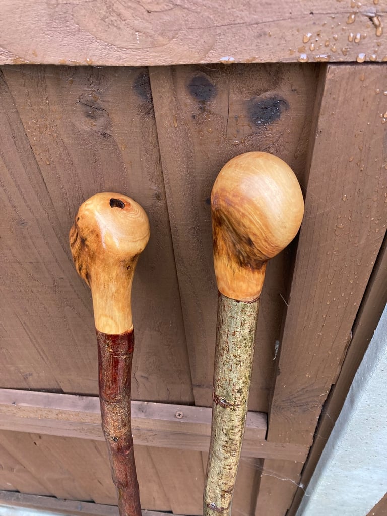 Hiking sticks 